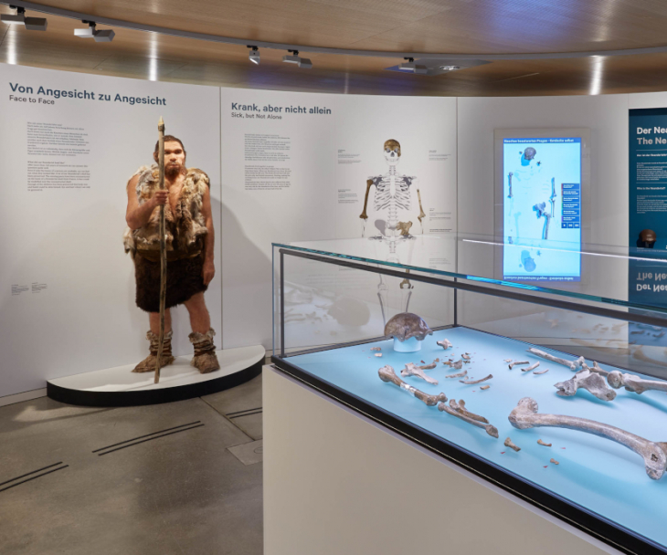 Gäste können sich dem weltberühmten Neandertaler in einer Rotunde im Museumsfoyer nähern, © Foto: J. Vogel, LVR-LandesMuseum Bonn