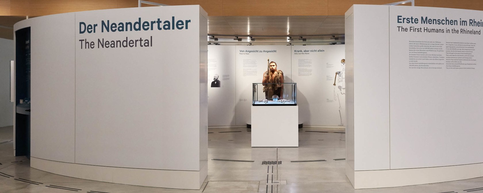Gäste können sich dem weltberühmten Neandertaler in einer Rotunde im Museumsfoyer nähern, © Foto: J. Vogel, LVR-LandesMuseum Bonn.