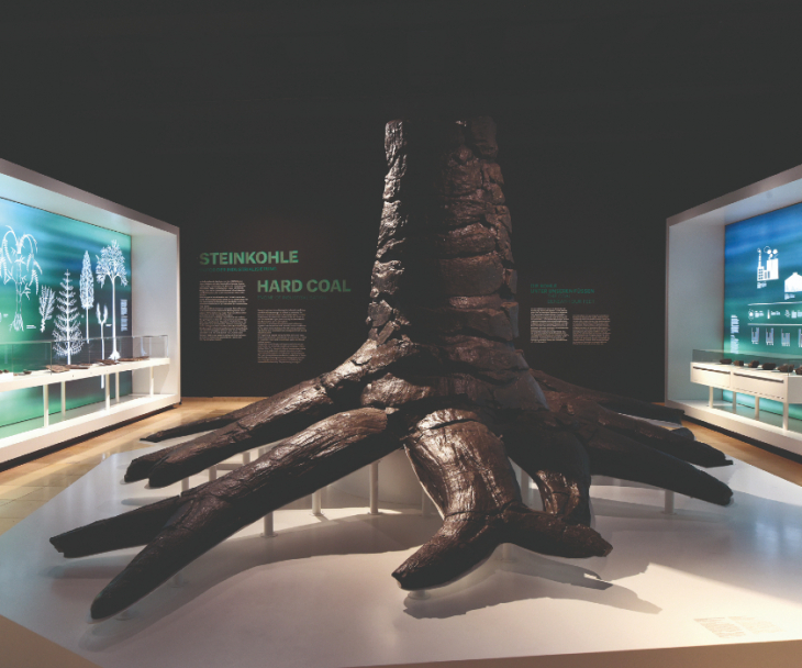 Deutsches Bergbau-Museum, Stammrest einer Schuppenbaumes aus dem Karbonzeitalter, © Deutsches Bergbau-Museum/Helena Grebe