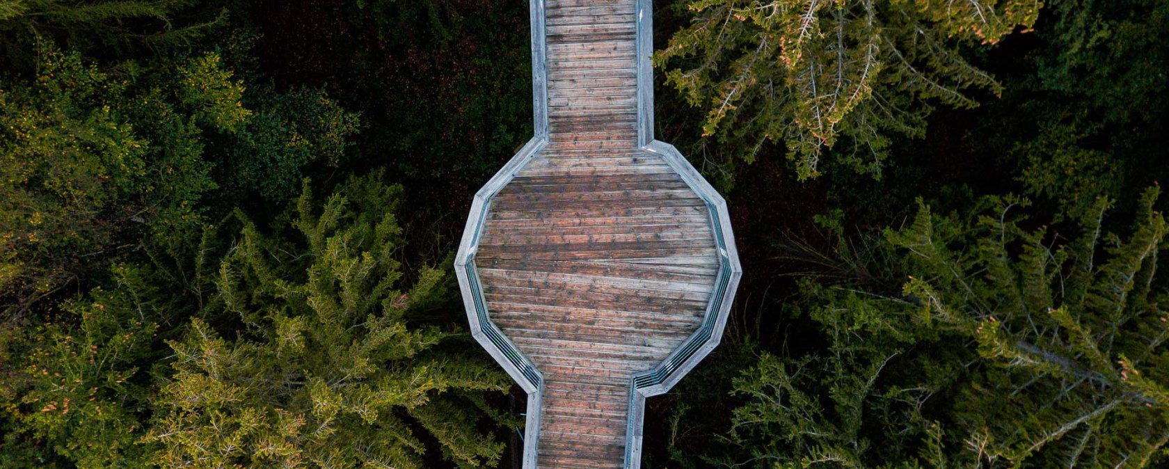 Bird's eye view of Panarbora treetop path, © Tourismus NRW e.V.