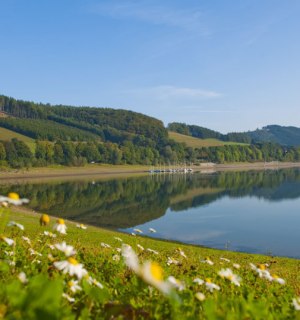Shore of the Hennesee in Sauerland, © Oliver Franke, Tourismus NRW