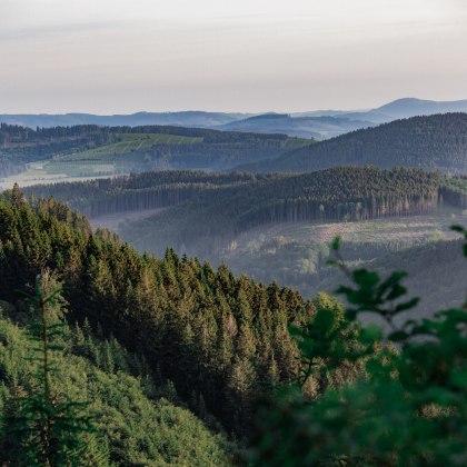 View of the spruce forests on the Rothaarsteig trail, © Tourismus NRW e.V.