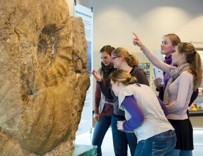 LWL-Museum für Naturkunde, Riesenammonit, © LWL/Oblonczyk