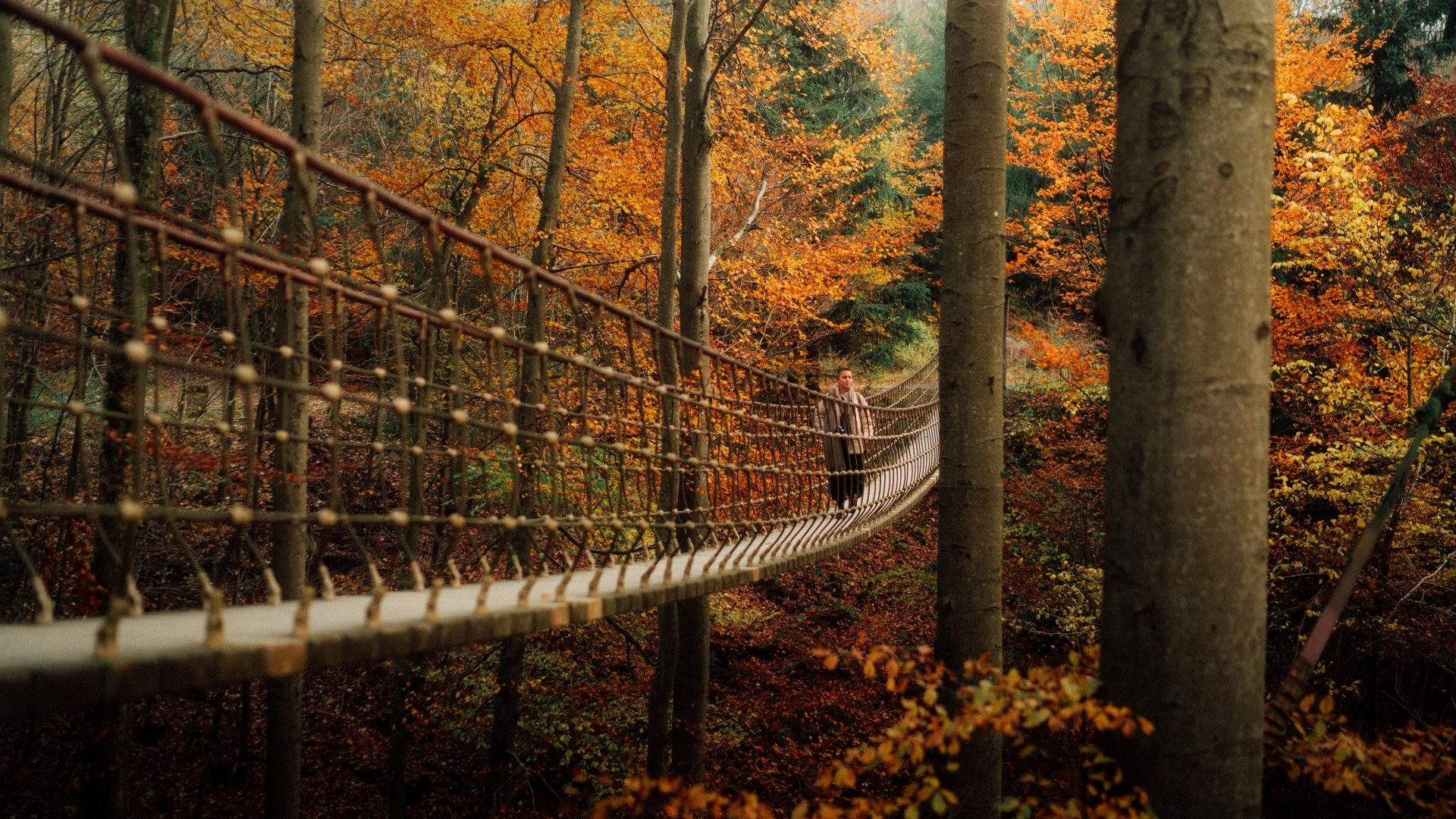 Suspension bridge Kühhude in Schmallenberg, © Leo Thomas